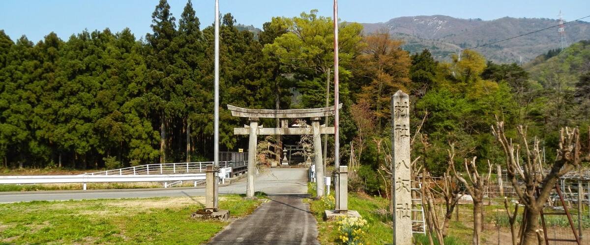 A rural road leading to a traditional Japanese torii gate surrounded by lush greenery and mountains.