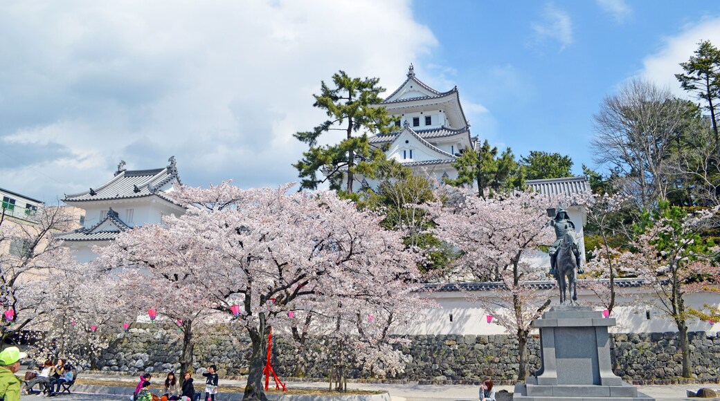 Ogaki Castle in Japan
