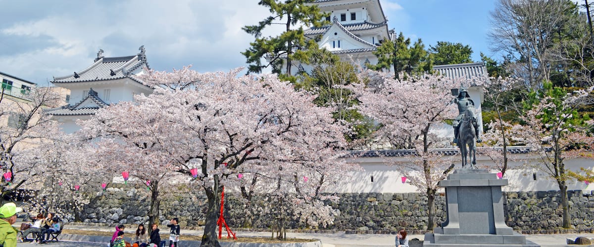 A traditional Japanese castle with cherry blossom trees in full bloom.