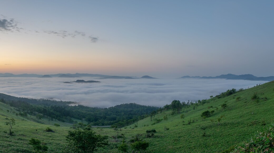 ์์นธ์ฝํ