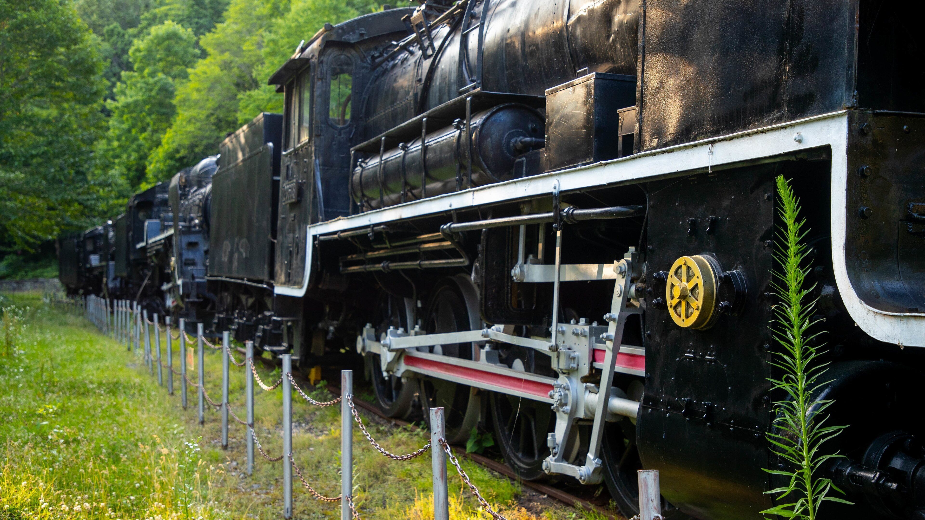 Una locomotora de vapor negra con una rueda amarilla, rodeada de follaje y una cerca en cadena.