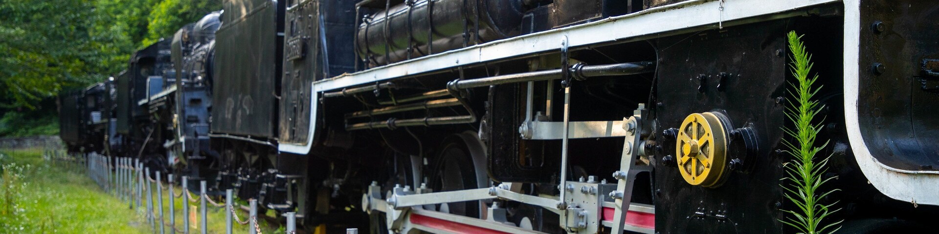 Una locomotora de vapor negra con una rueda amarilla, rodeada de follaje y una cerca en cadena.