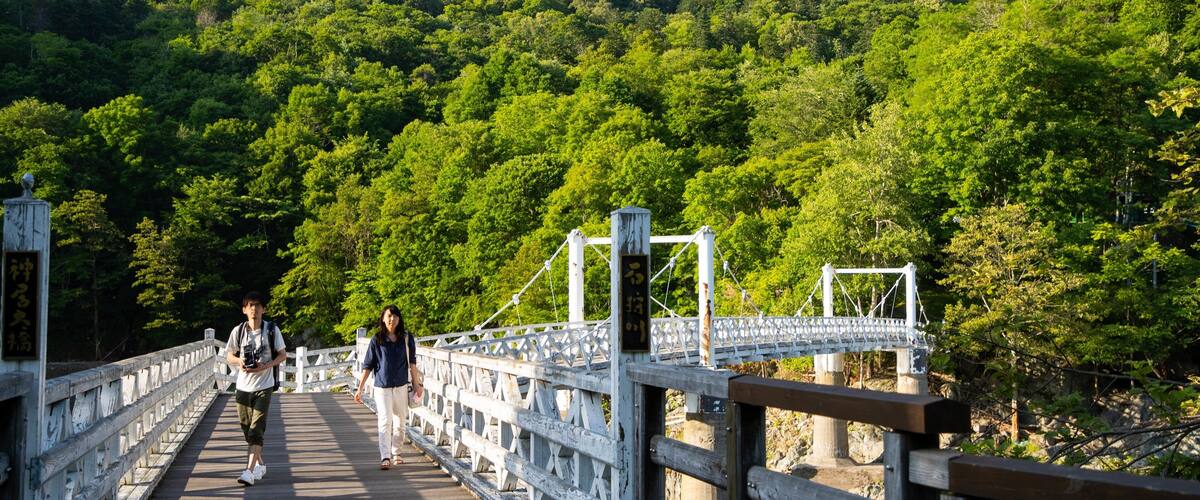 A wooden pedestrian bridge over a river, surrounded by dense green forest.