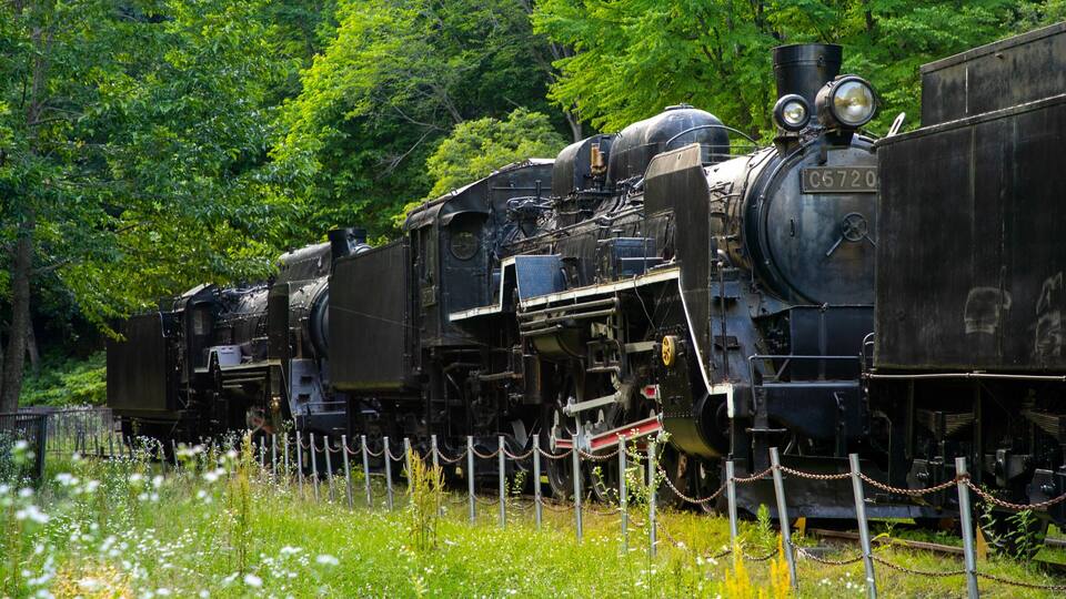 A steam locomotive with the number C5720 on a track surrounded by greenery.
