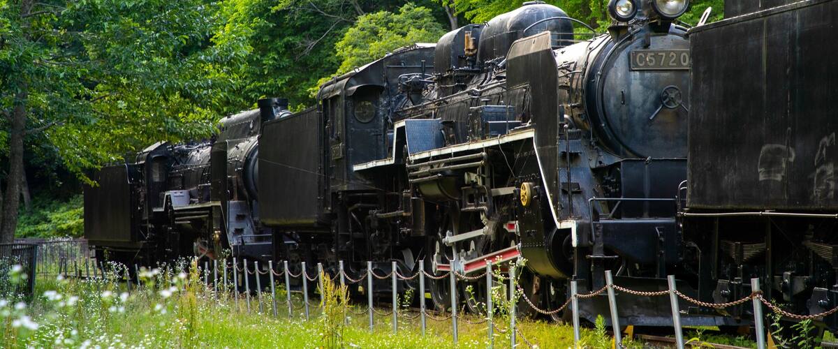 A steam locomotive with the number C5720 on a track surrounded by greenery.