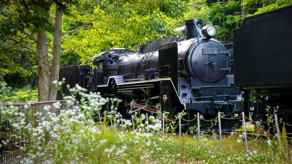 A black steam locomotive with the number D516 parked in a lush, green forest.