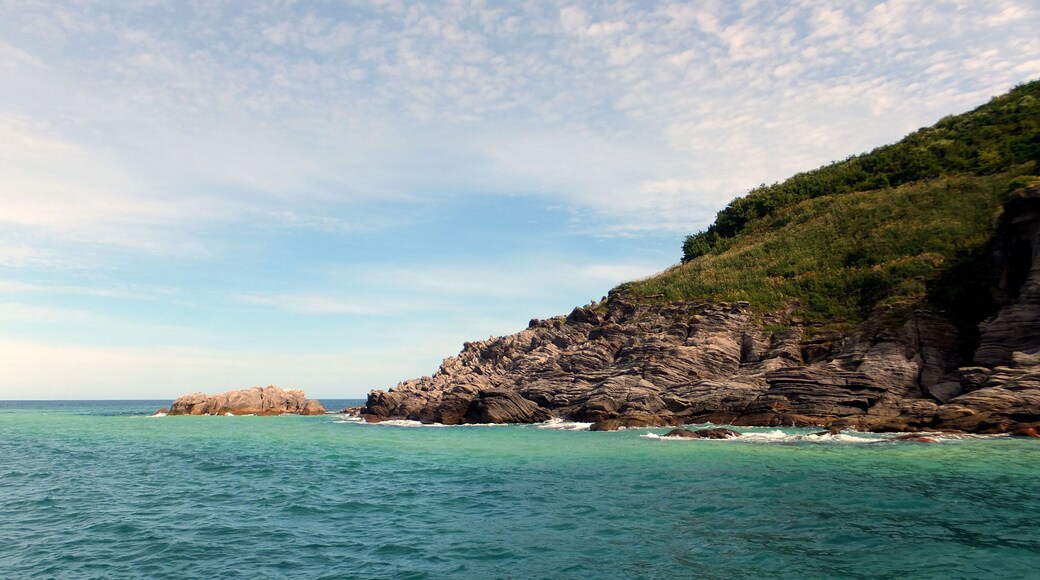 知床岬クルーズ