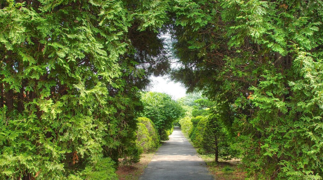 ćčłćČĄæščèžă»ăłăżăŒïŒHiraoka arboriculture centerïŒ