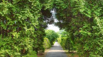 ćčłćČĄæščèžă»ăłăżăŒïŒHiraoka arboriculture centerïŒ