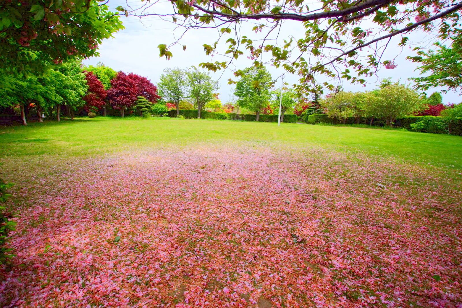 平岡樹芸センター（Hiraoka arboriculture center）