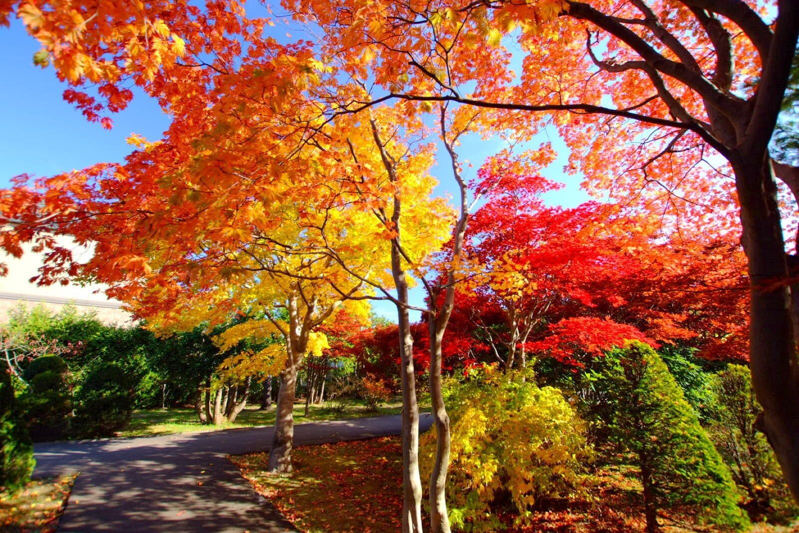 平岡樹芸センター（Hiraoka arboriculture center）
