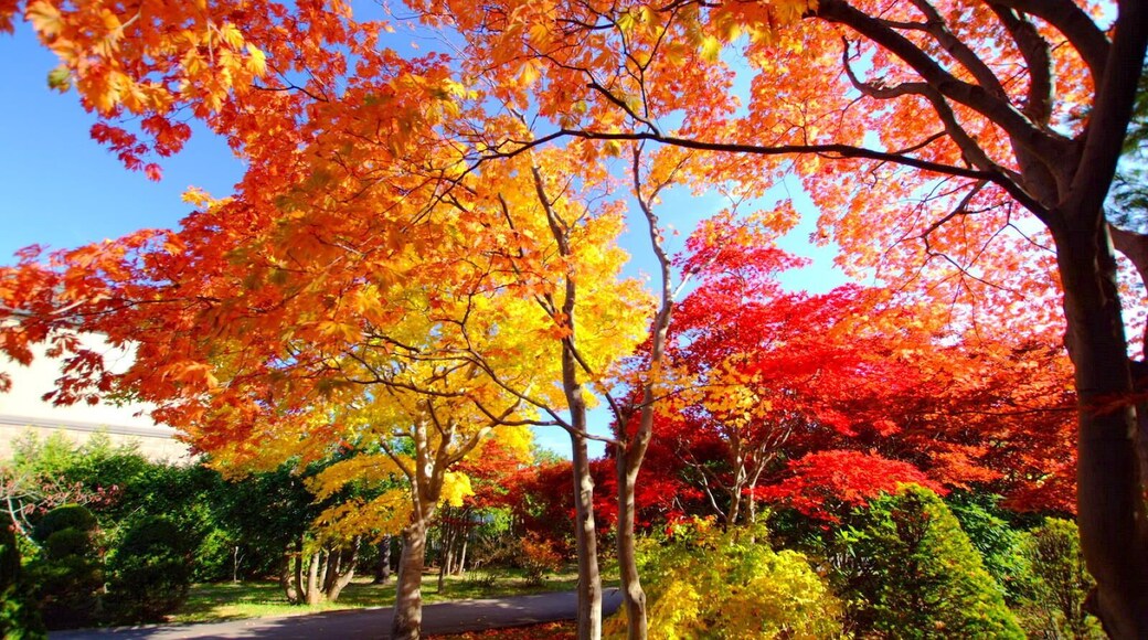 平岡樹芸センター(Hiraoka arboriculture center)