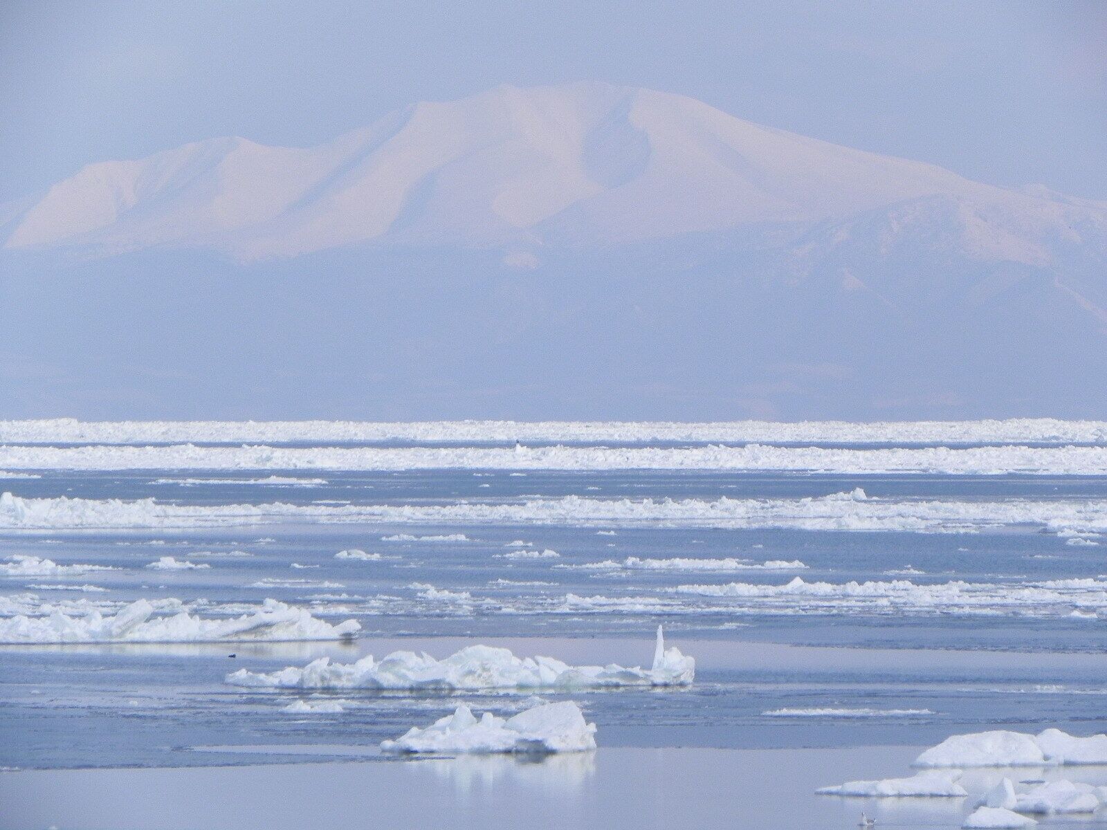 A frozen landscape with icebergs and a mountain in the background.