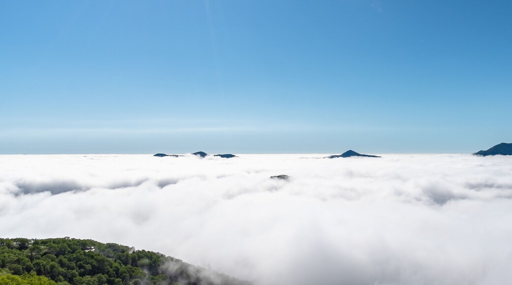 Panorama view from Unkai Terrace in summer time sunny day. Take the cable car at Tomamu Hoshino Resorts, going up to see the sea of clouds. Shimukappu village, Hokkaido, Japan