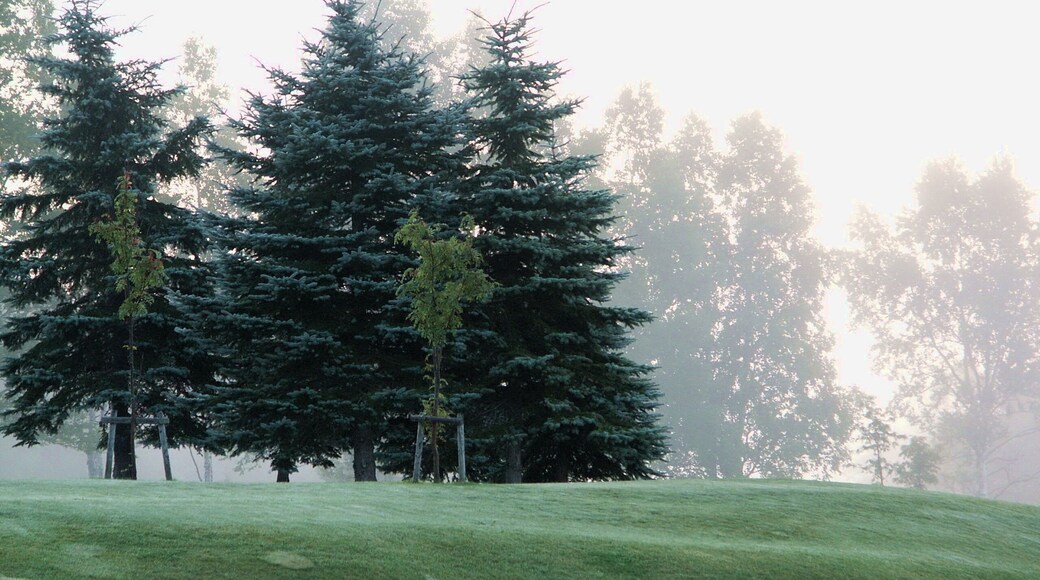 星野TOMAMU渡假村 Hoshino Resort Tomamu