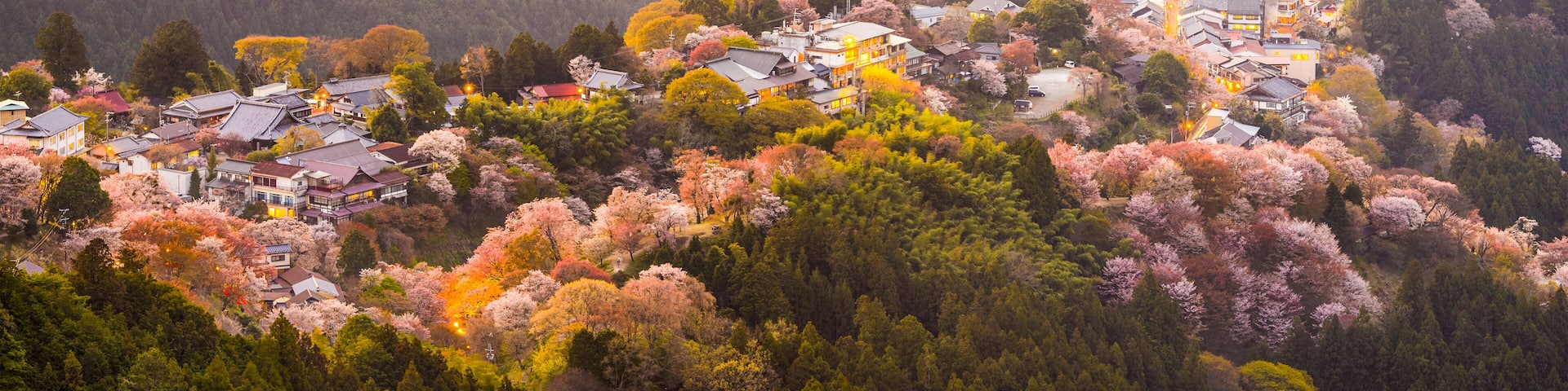 A town nestled in a valley with cherry blossoms, surrounded by mountains.
