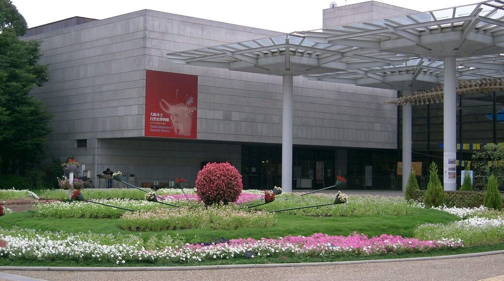 大阪市立自然史博物館
