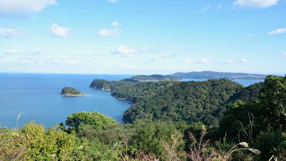 A coastal landscape with a forested hill, a small island, and a clear blue sky.
