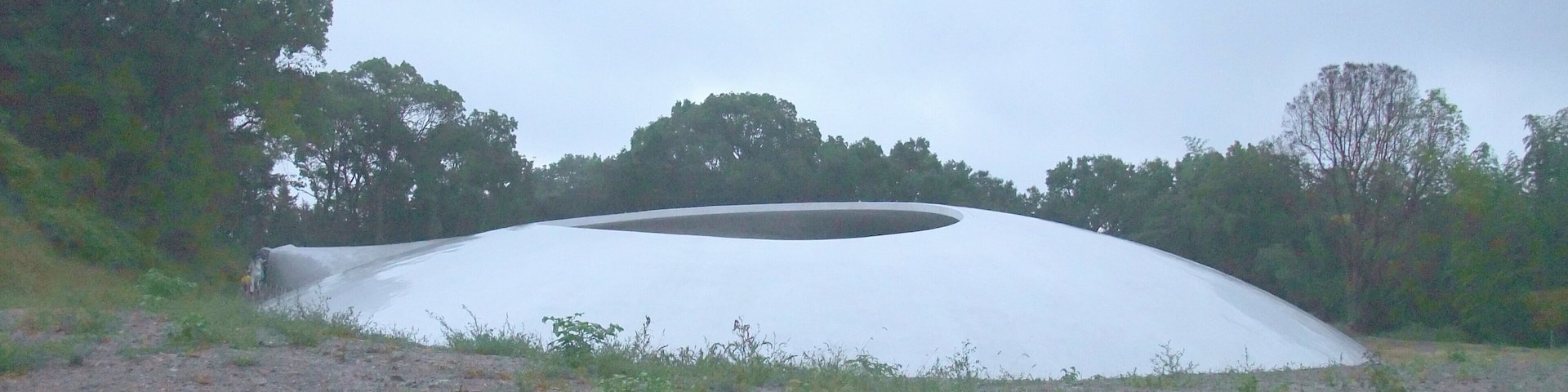 投稿者撮影。撮影日時は2010年10月31日。