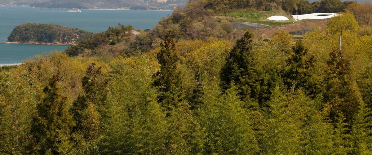A coastal landscape with a body of water, dense forest, and rolling hills in the background.