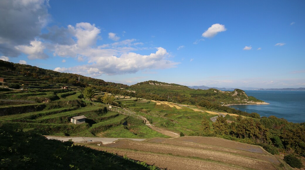 View on the fields of Teshima island in Japon, near Teshima Art Museum