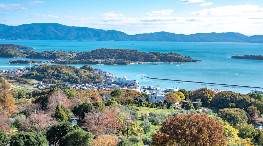 瀬戸内海の美しい景色とオリーブ畑・岡山県瀬戸内市牛窓町 Beautiful view of Setonaikai, Inland Sea of Japan, and an olive grove in Ushimado town, Setouchi city, Okayama pref. Japan.
