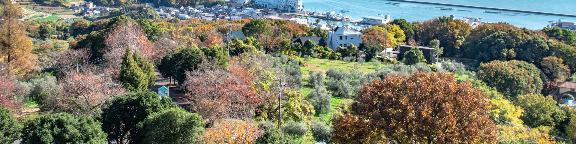 瀬戸内海の美しい景色とオリーブ畑・岡山県瀬戸内市牛窓町 Beautiful view of Setonaikai, Inland Sea of Japan, and an olive grove in Ushimado town, Setouchi city, Okayama pref. Japan.