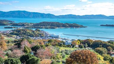 瀬戸内海の美しい景色とオリーブ畑・岡山県瀬戸内市牛窓町 Beautiful view of Setonaikai, Inland Sea of Japan, and an olive grove in Ushimado town, Setouchi city, Okayama pref. Japan.