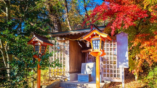Japan. Kawaguchiko. Autumn in Japan. Japanese buildings in Kawaguchiko Park. Decorations of Kawaguchiko Park. Architecture Of Japan. Japanese motifs. Landscape in autumn Park.