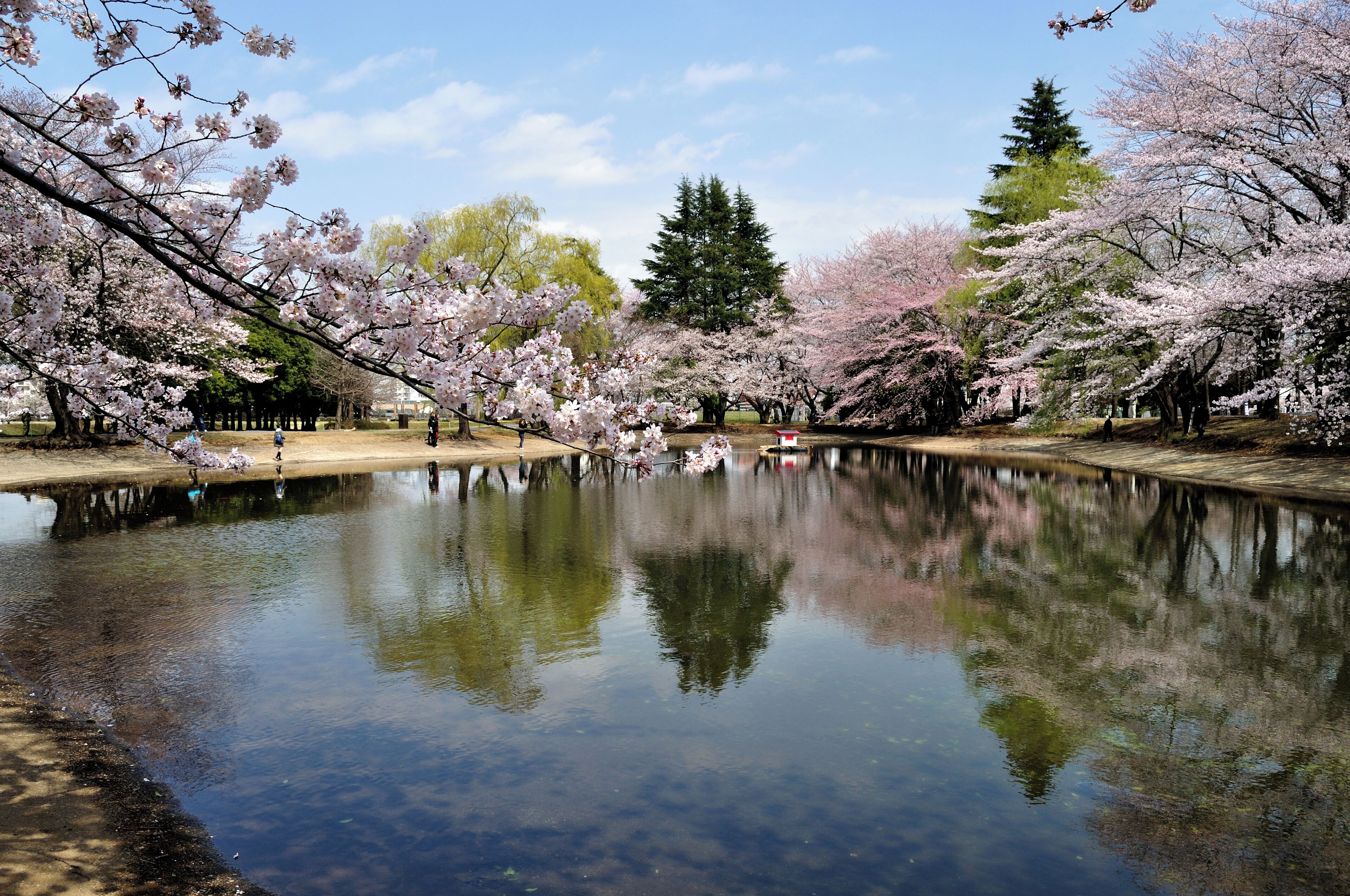 JGSDF Camp Asaka 陸上自衛隊朝霞駐屯地