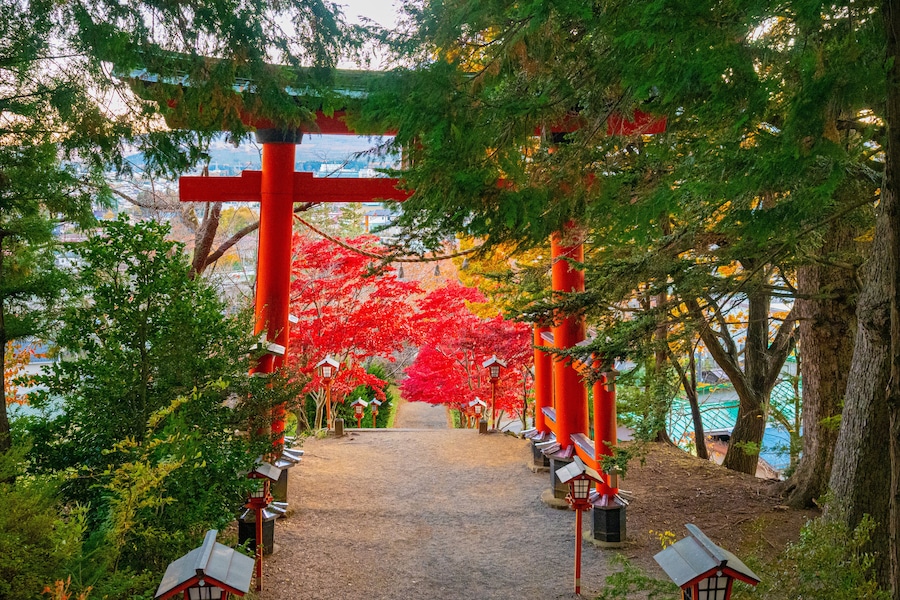 Japan. Kawaguchiko. Alley with a red gate in the Japanese style. Descent from the mountain to the city of Kawaguchiko. The Nature Of Japan. Japanese city. Fuji. Fujisan. Autumn in Kawaguchiko.
