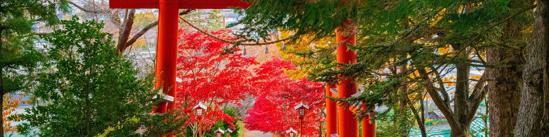 Japan. Kawaguchiko. Alley with a red gate in the Japanese style. Descent from the mountain to the city of Kawaguchiko. The Nature Of Japan. Japanese city. Fuji. Fujisan. Autumn in Kawaguchiko.