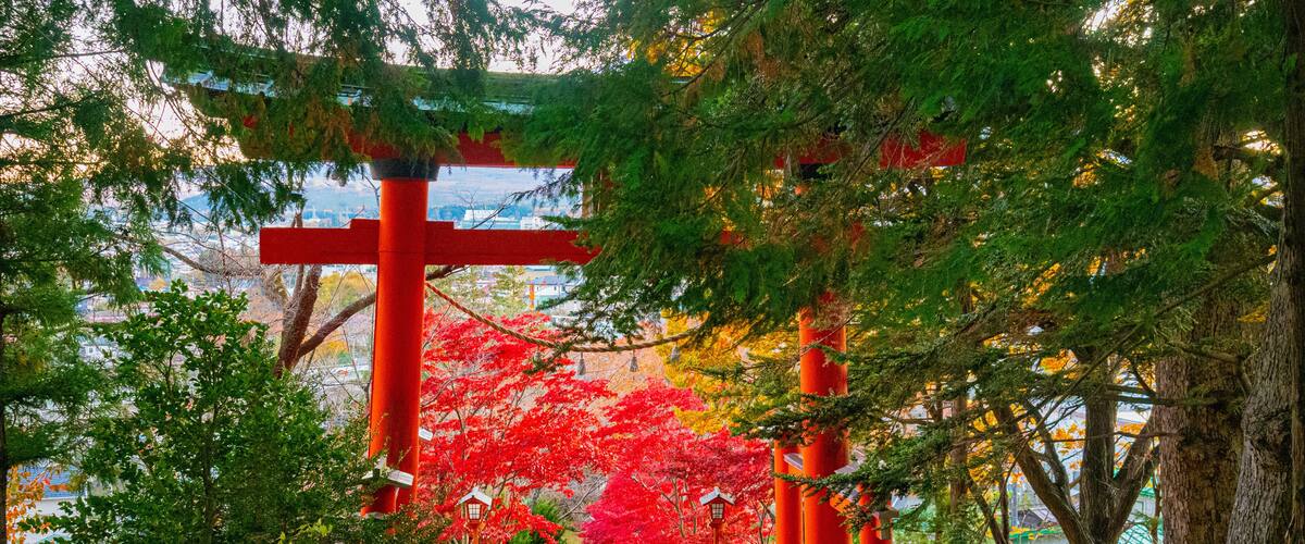 Japan. Kawaguchiko. Alley with a red gate in the Japanese style. Descent from the mountain to the city of Kawaguchiko. The Nature Of Japan. Japanese city. Fuji. Fujisan. Autumn in Kawaguchiko.