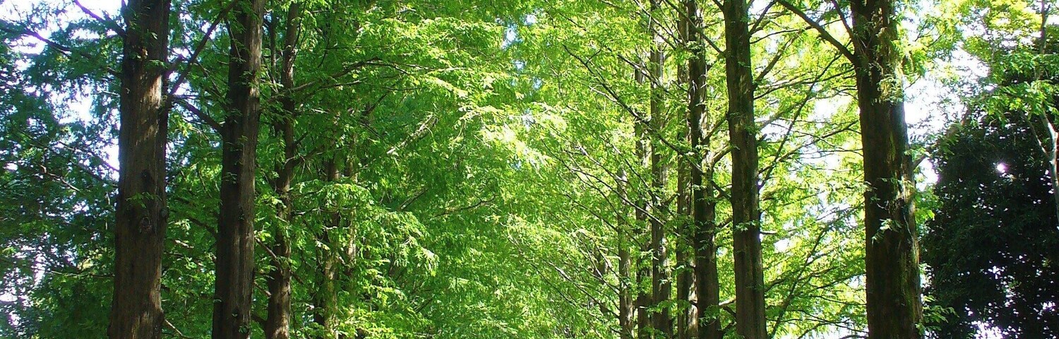 4 Chome-1 Kitakaname, Hiratsuka-shi, Kanagawa-ken 259-1207, Japan