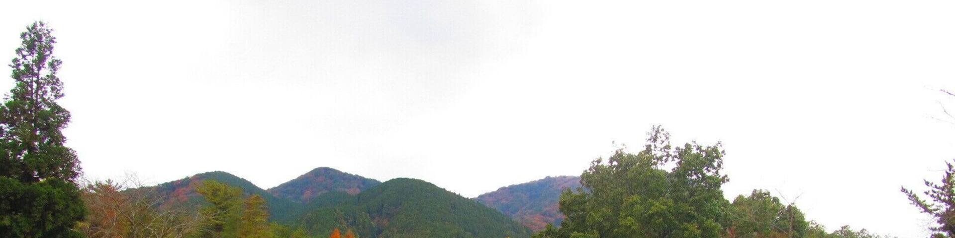 晩秋の御在所山麓