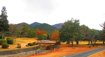 晩秋の御在所山麓