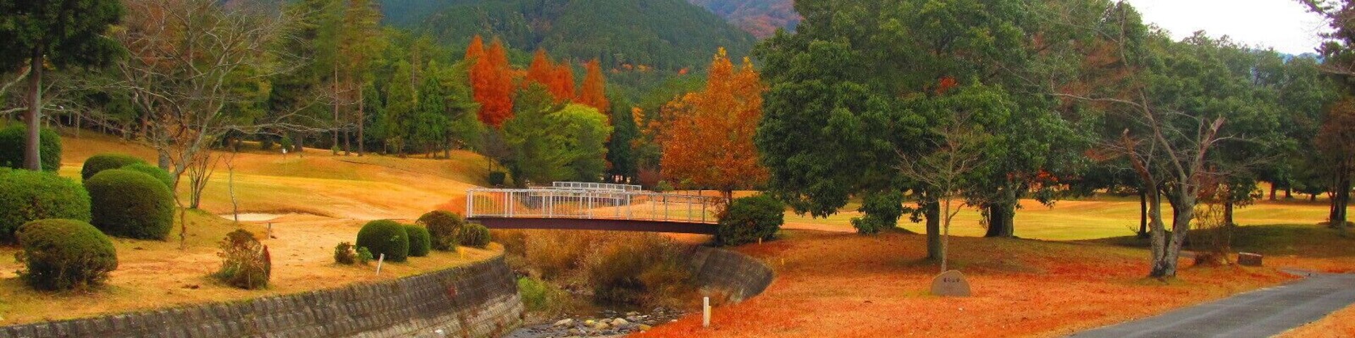 晩秋の御在所山麓
