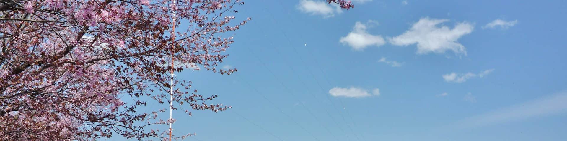 Lake Senroku, Mount Hirao.