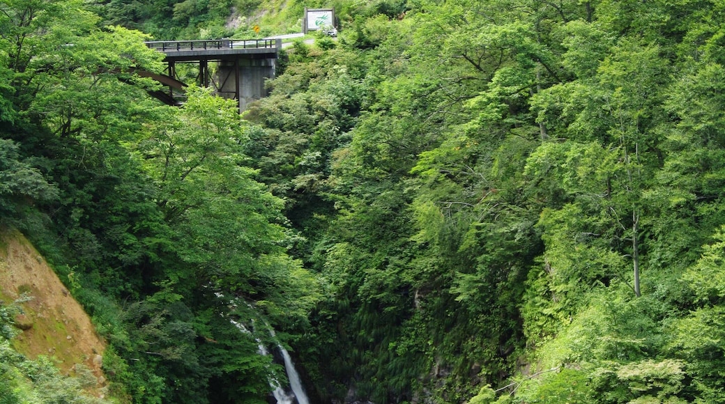 Ōtagiri River Fudō Falls (Ōtaki Falls).