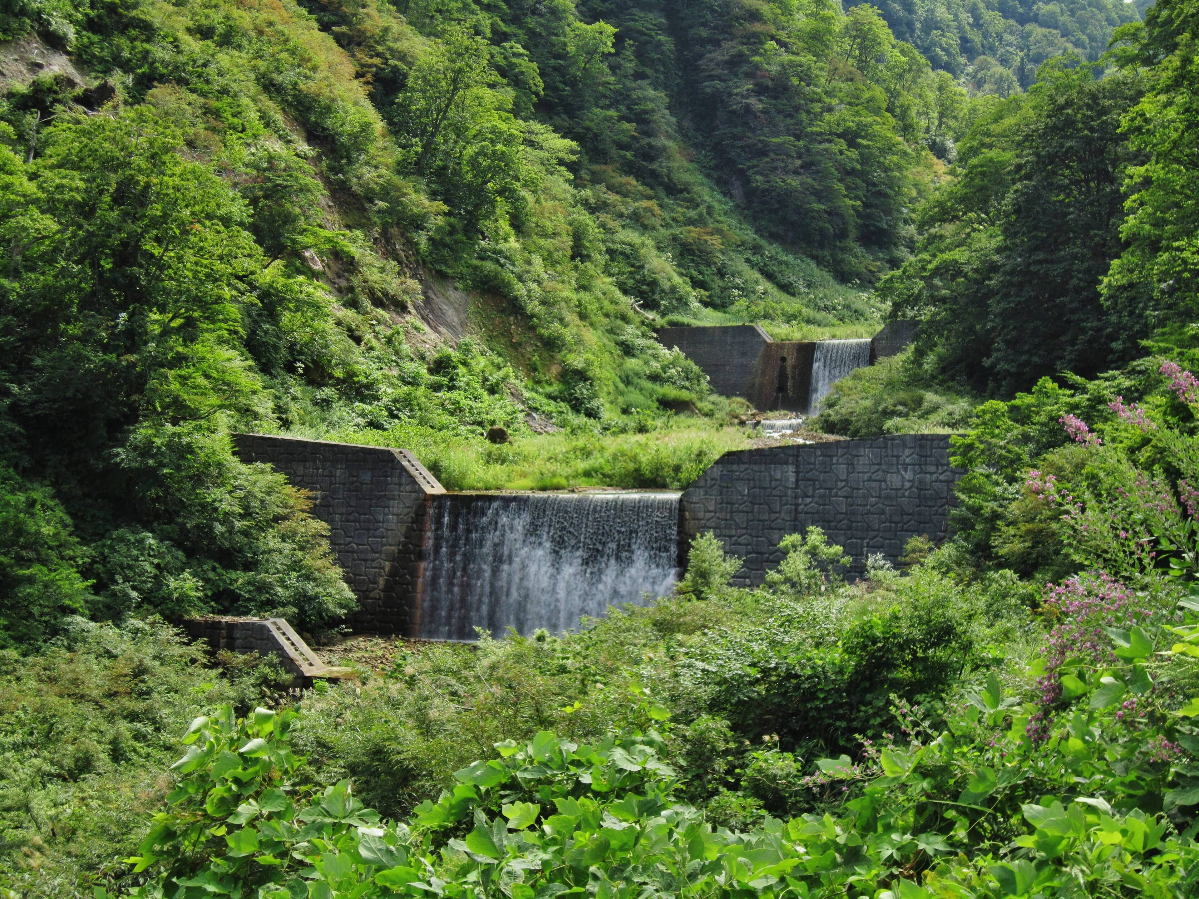 A waterfall cascading over a stone dam surrounded by lush greenery.
