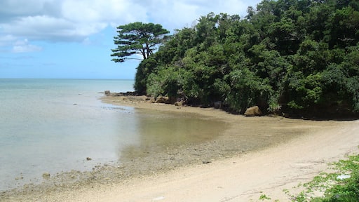 Iriomote Jima