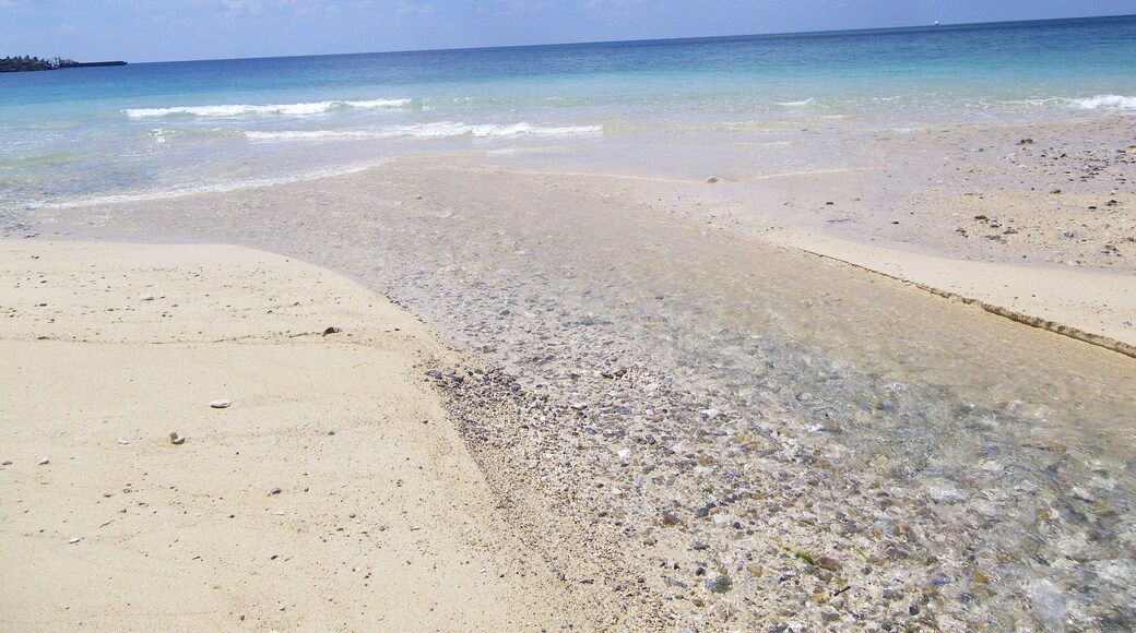 The mouth of Shiokawa river in Okinawa