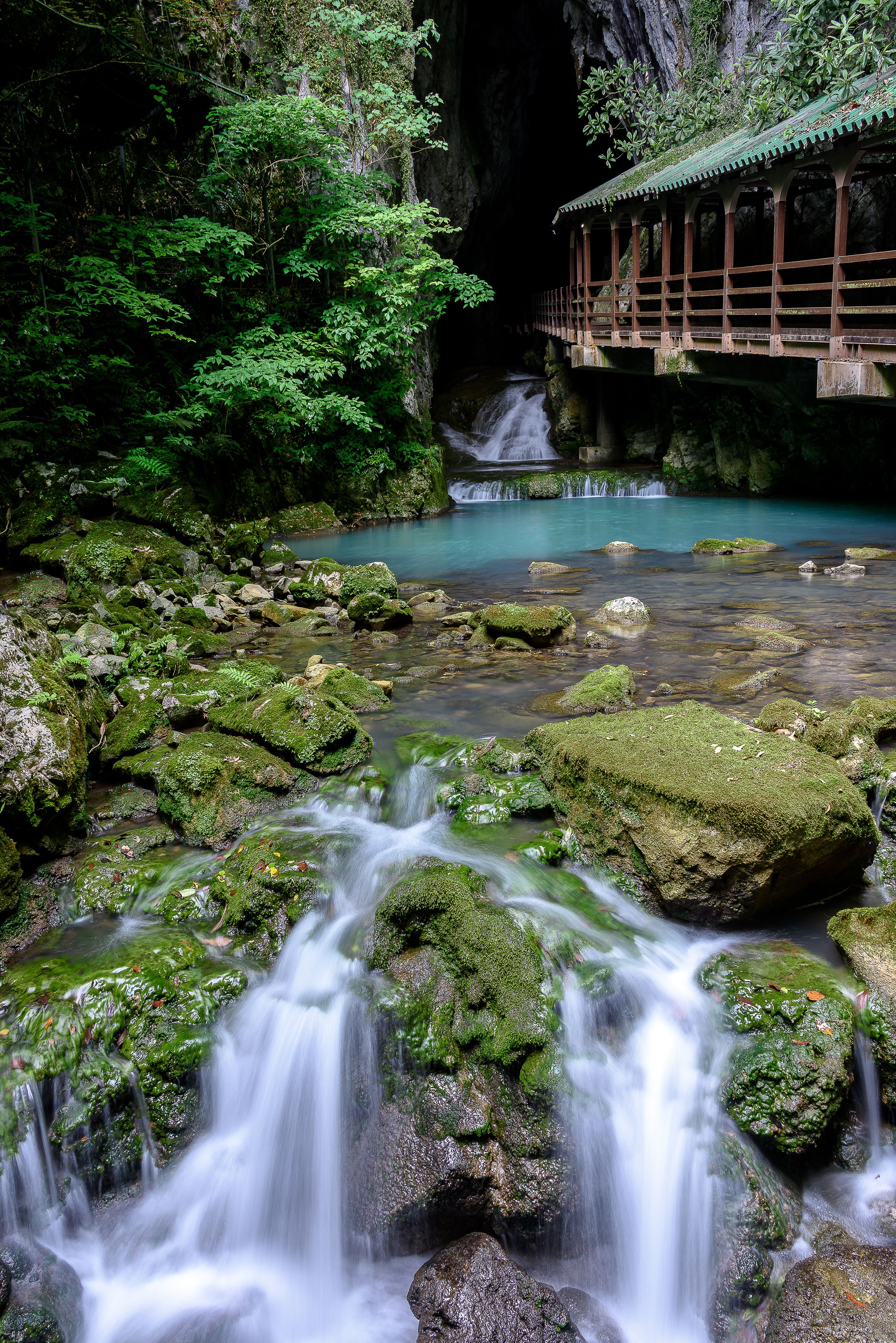 A serene waterfall cascading over moss-covered rocks, a wooden bridge, and lush greenery in a forested area.