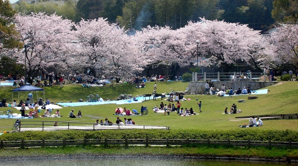 長山公園