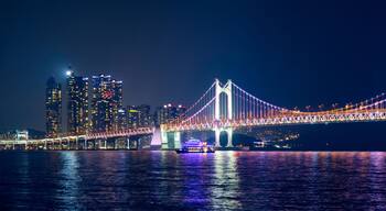 Gwangan Bridge and skyscrapers in the night. Busan, South Korea