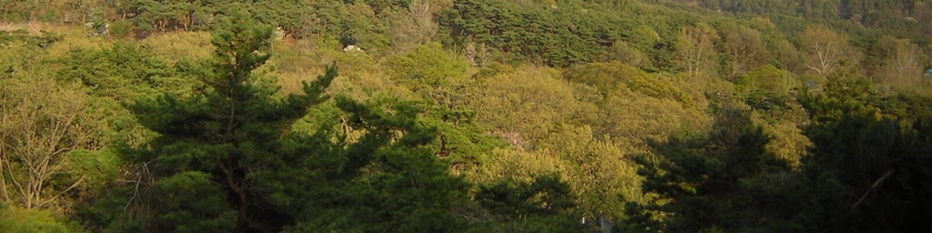 충남 서산 덕산 덕숭산 Korea