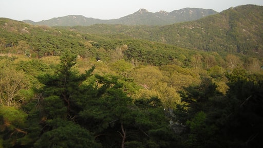 충남 서산 덕산 덕숭산 Korea