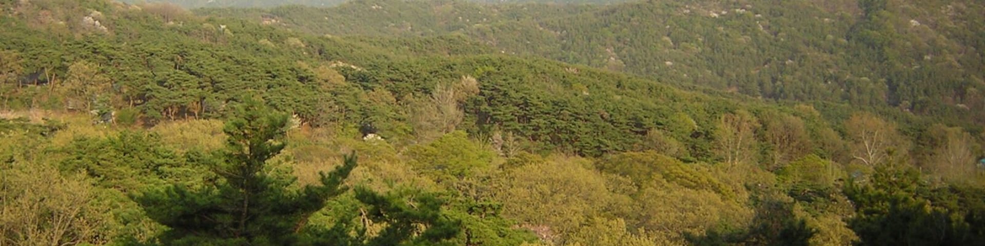 충남 서산 덕산 덕숭산 Korea