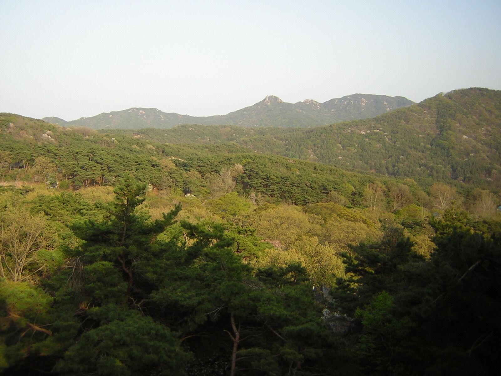 A mountainous landscape with dense green forests and hills in the background.