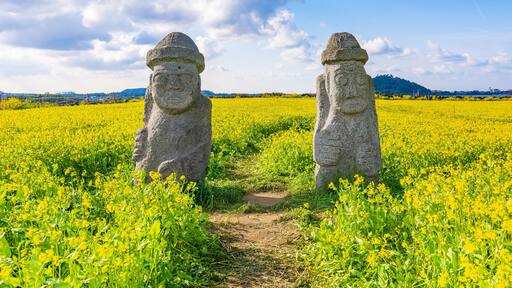 Iconic stone figures with Yellow Canola Field in the background, on Jeju Island, South Korea.